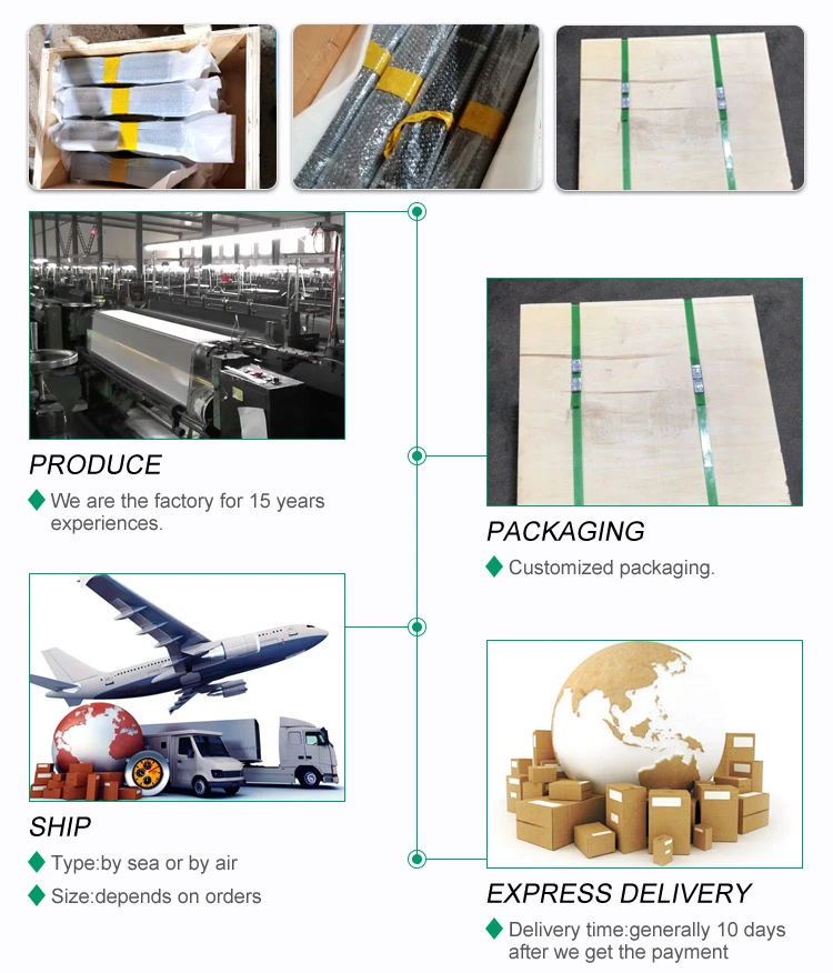 Titanium electrode ozone packing